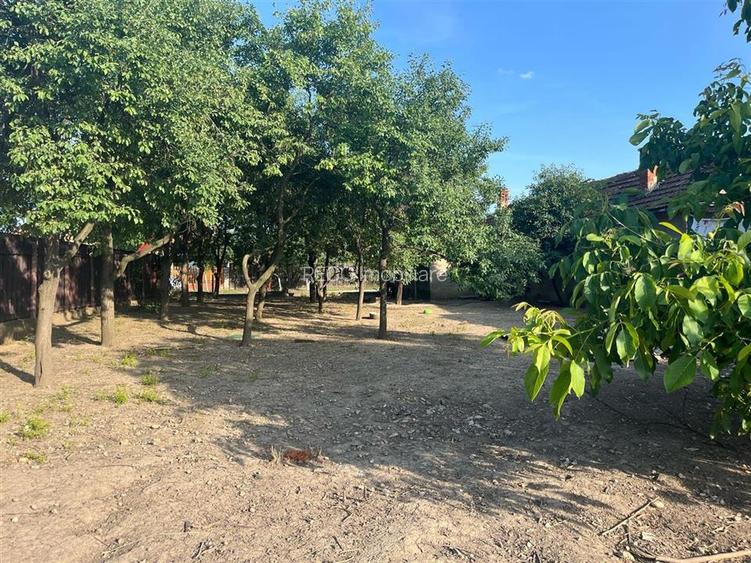 RECO Casa in  Salard -teren 1439 mp - 13