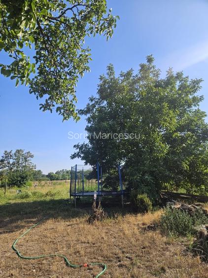 Proprietate imobiliara casa și teren în Criva de Sus - 13