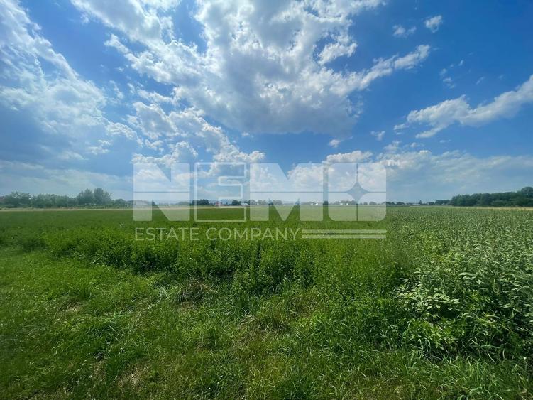 Teren intravilan | 3770 MP | Suceava, Frătăuții Vechi