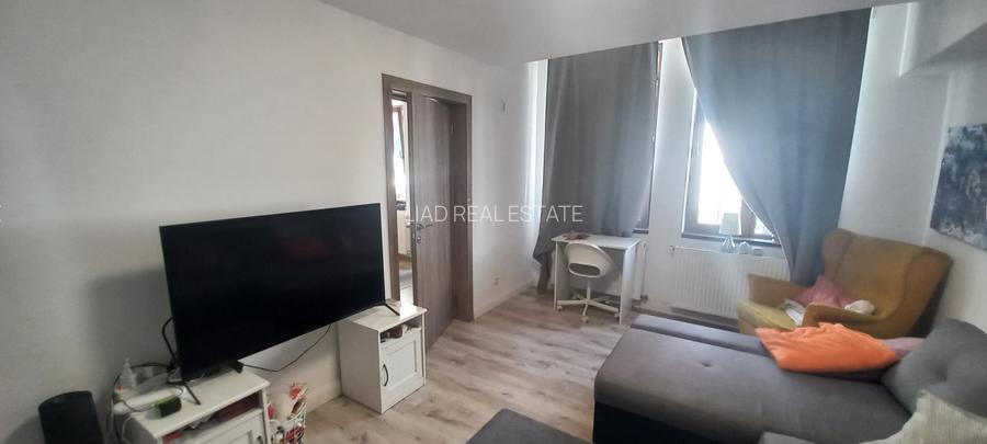 Apartament 2 camere Calea Calarasilor cu gradina - 16