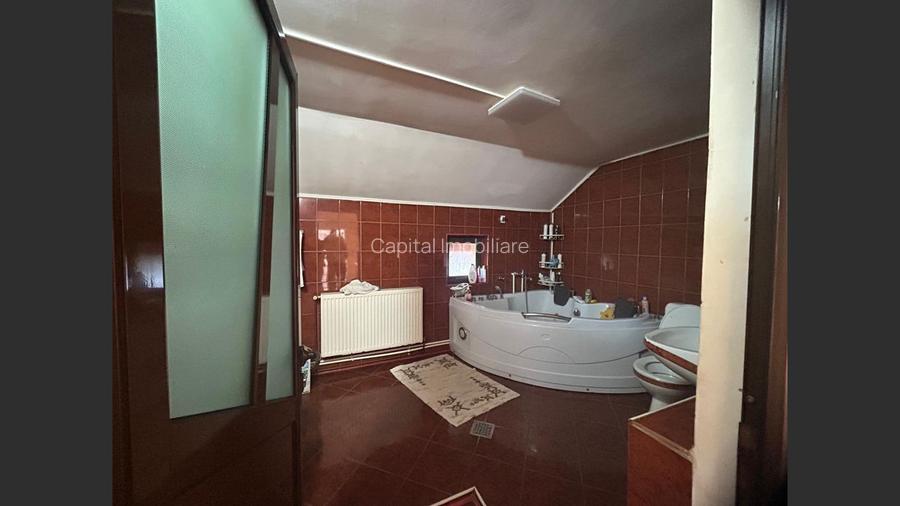 Proprietate cu doua imobile, com Dragutesti. Comision 0% - 9