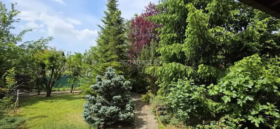Vila 5 Camere Paradisul Verde | Corbeanca | Gradina Matura | Liniste - 25