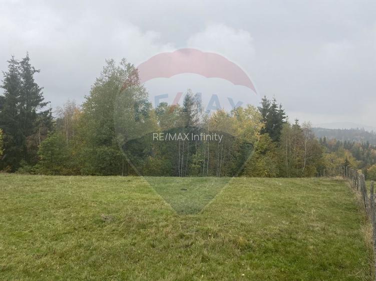 Teren de vanzare 8119 mp Calatele Padure.Muntii Apuseni - 19