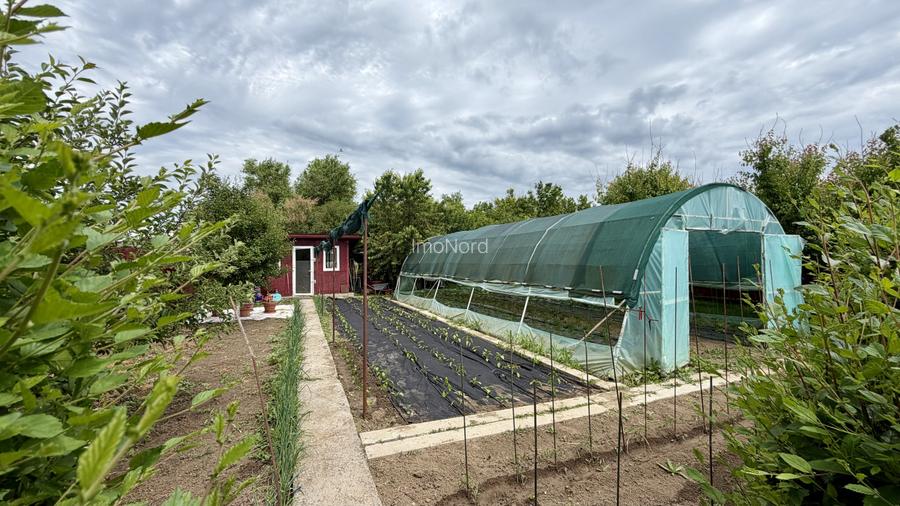 Tunari casă în Dimieni – 3 camere, curte amenajată, grădină cu seră, parcare - 8