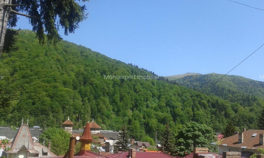 Sinaia – teren superb de vanzare situat chiar in padure! - 2