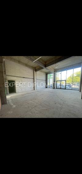 Barbu Vacarescu-Fabrica de Glucoza-Suprafete intre 175-230 mp- 30  Euro/MP - 8