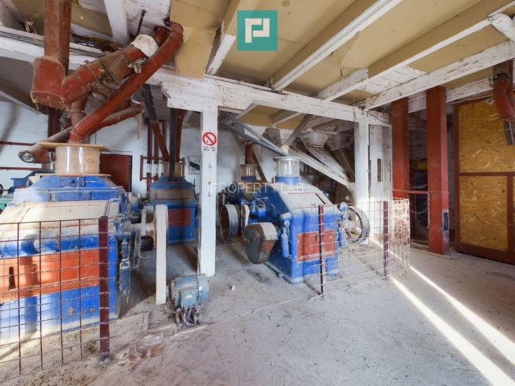 Moară de vânzare în comuna Periam, județ Timiș - 5