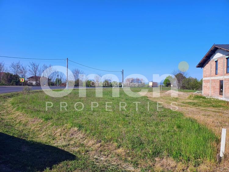 Teren Intravilan | 3444 mp | Tăuții Măgherăuș - 4