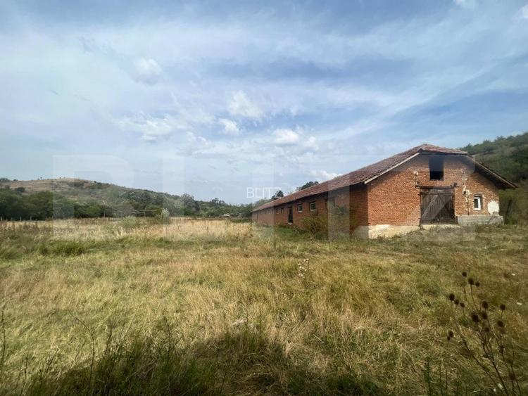 Ferma cu 3000 mp de teren si o constructie de 580 mp  - 3