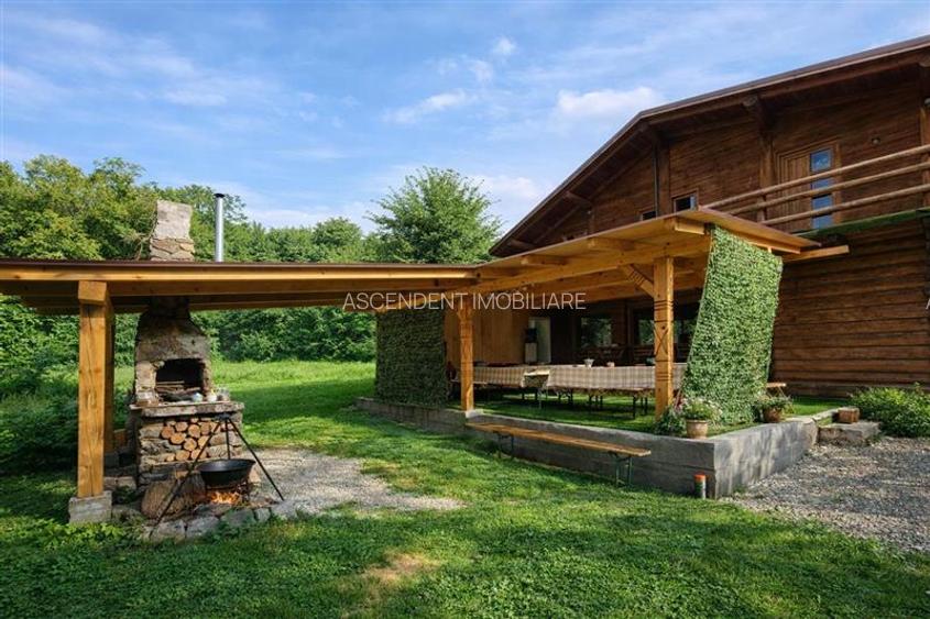 Resedinte montane,mobilate,echipate, jacuzzi,piscina,pretios areal,Sambata de Su - 15