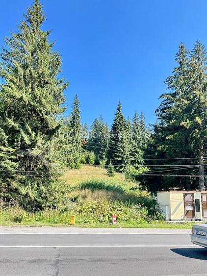 Teren Intravilan Predeal - Acces direct DN - Priveliste deosebita - 33