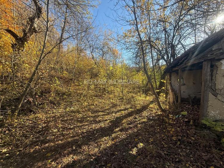 Teren langa pădure 6400mp+casa demolabila-deschidere 35 ml - 10
