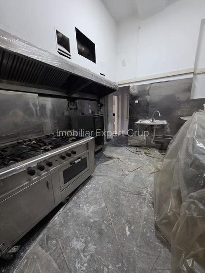 Zona Parcul Carol-Primaria sect. 5 Sp 151 mp curte 300 mp - 9