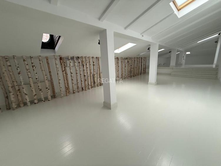 Vila deosebita zona Piata victoriei pentru office - 9