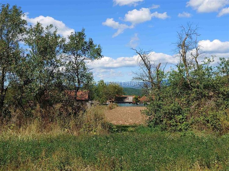Teren intravilan pentru casa sau vacanta, Lunca, Baia de Cris - 5