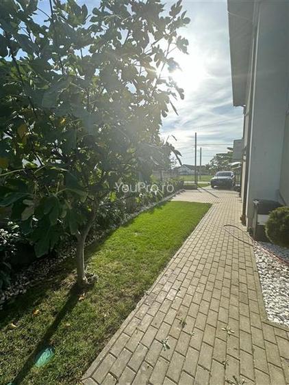 Vila Deosebita Dumbravita - 20