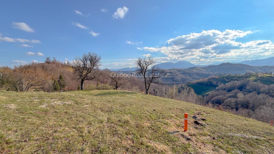 Refugiu de poveste în inima naturii | 12.000 mp în Holbav | Proiect început - 13