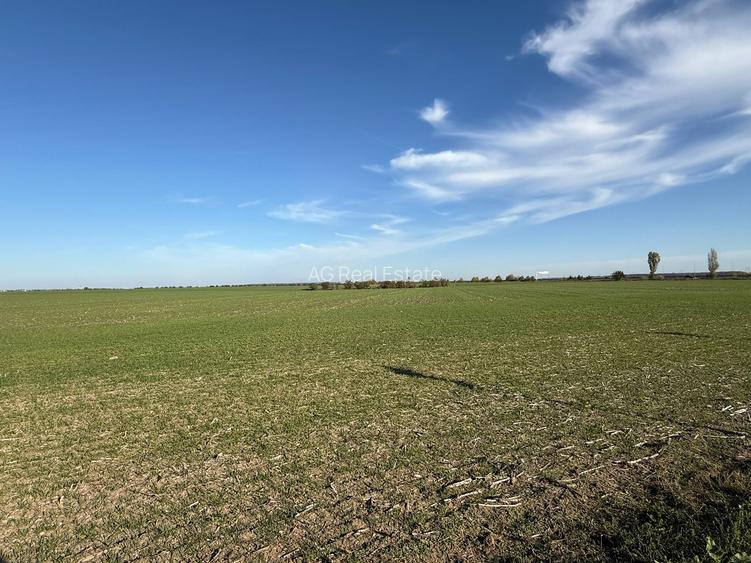 Teren Intravilan Branesti 4500mp Acces Asfalt si A2-deschidere 22ml - 4