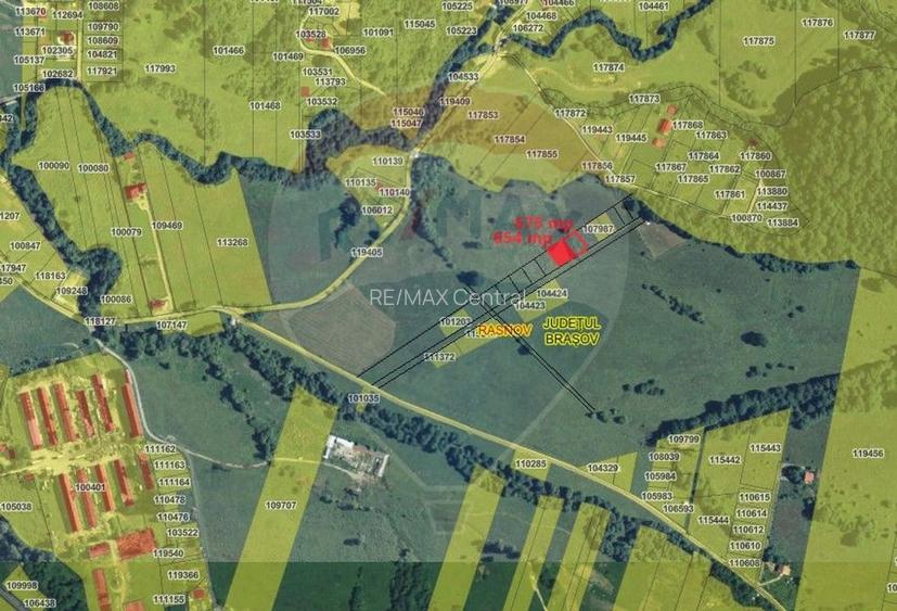 Teren Rasnov - Cheile Rasnoavei, 654mp, posibil 1329mp - 3