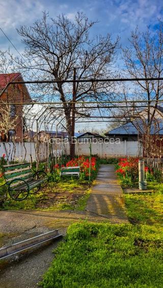 Casa cu teren 1400mp - 4