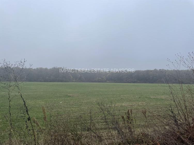 9400 mp | Ideal pentru investitie | Tunari | Deschidere la padure - 7