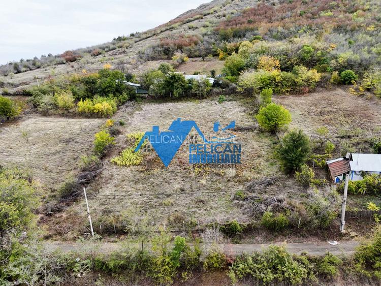 Teren intravilan NICULITEL, zona deosebita, 3044MP - 13