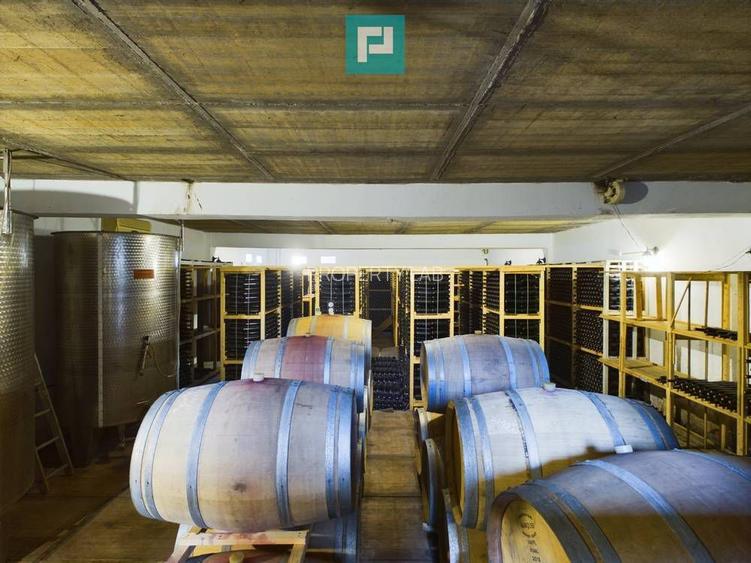 Pivnițele Birăuaș D.O.C Miniș - RATE FĂRĂ DOBÂNDĂ - 18