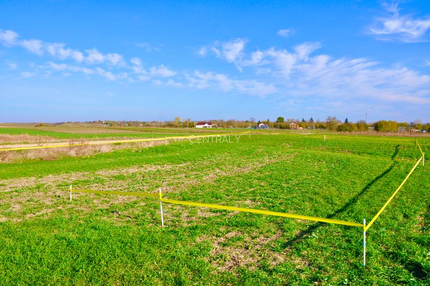 PRET SOC! SUPEROCAZIE! Loturi Ghimpati, intravilan, RATE! - 2