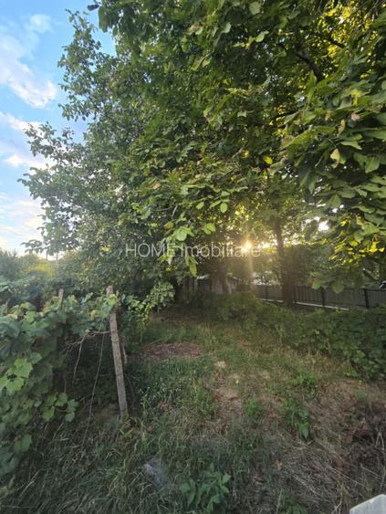 Teren Arcadie Septilici - 3