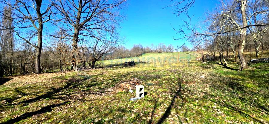 Casa la tara de vanzare in Cosdeni, Bihor - 9
