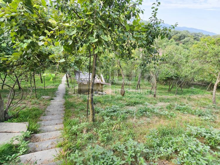 Teren intravilan 1600mp | Front 26m | Grigorescu | Zona strazii Donath - 4