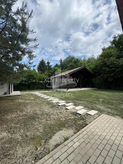 Pensiune/ Vila Valea Avrigului - 22