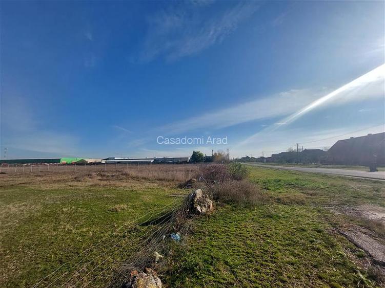 OCAZIE!!! Teren industrial in Chisineu Cris, la doar 20 euro mp! Parcelare la ce - 6
