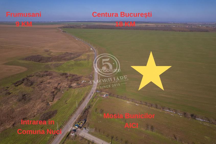 Oportunitate Investițională: Teren 8 Ha – Nuci, Călărași - 3