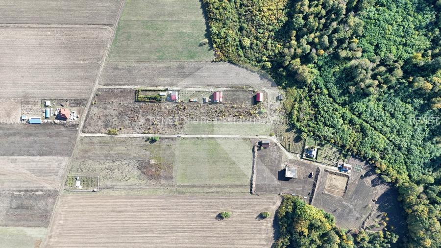 Refugiu la marginea padurii — 1000 mp de liniste in Cocani. - 3
