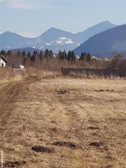 Teren 511 mp Bartolomeu - 6