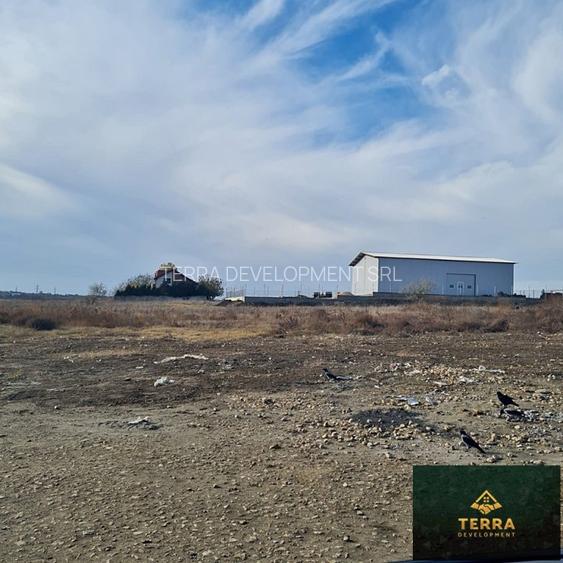 Carrefour, teren 2000mp - 4