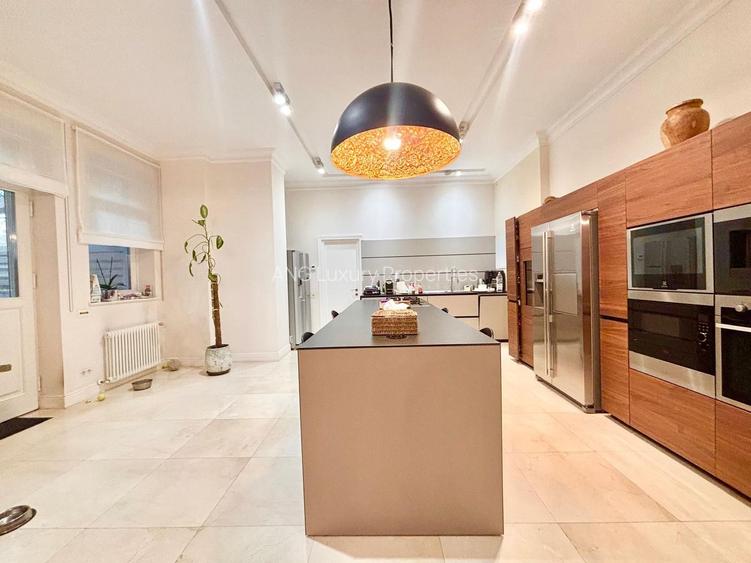 Vila ideala Birouri sau  Resedinta Ambasador/Clinica Lux zona Capitale - 3