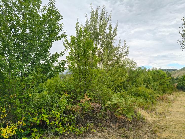 Terenuri intravilane alipibile în Runcu, zonă cu potențial - 7