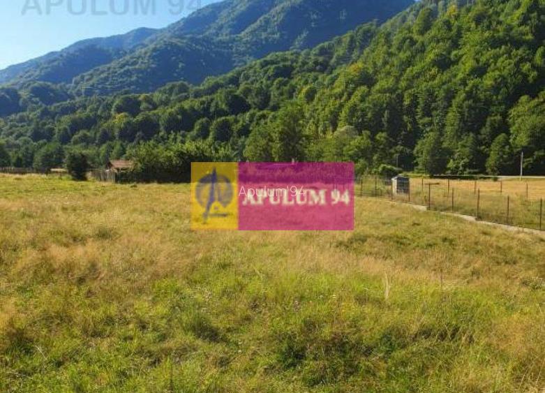 Teren Județul Vâlcea - Brezoi, Valea lui Stan - 29