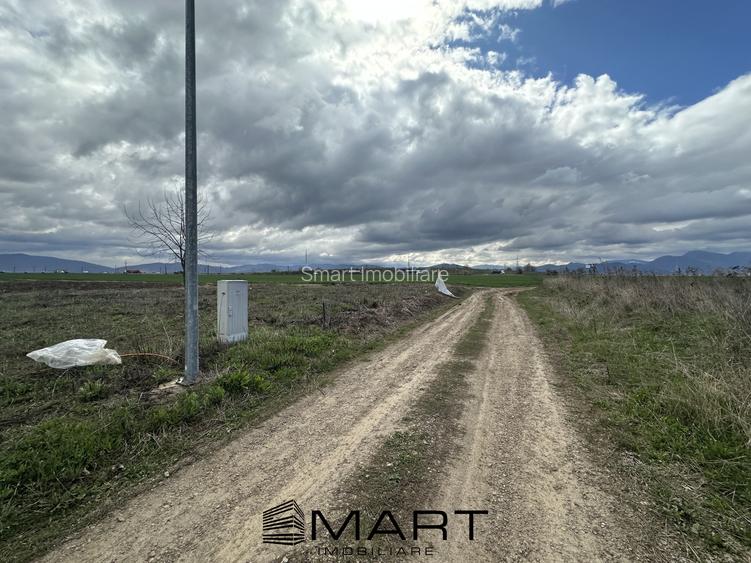 Teren intravilan 520 mp Harman - 4