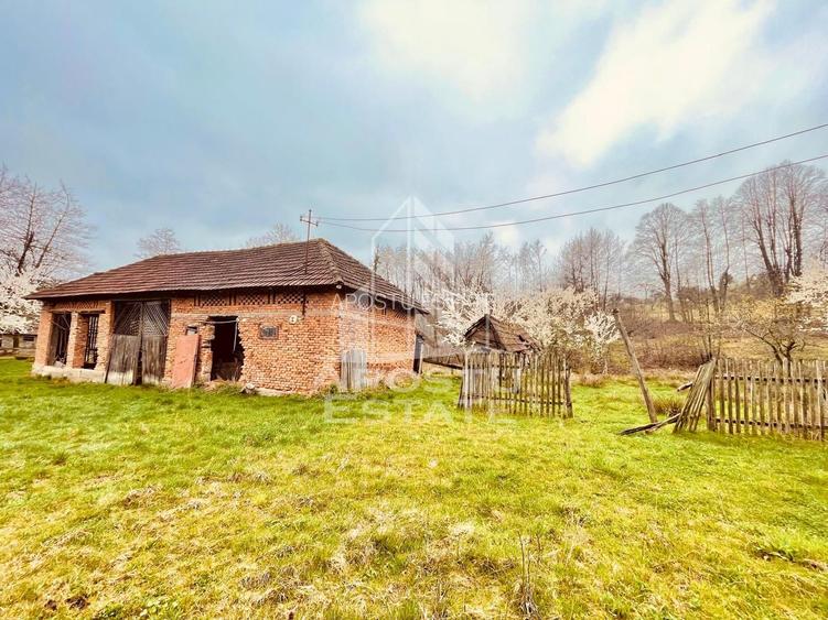 Casa cu potential amenajare pescarie- Zona Varfurile - 8