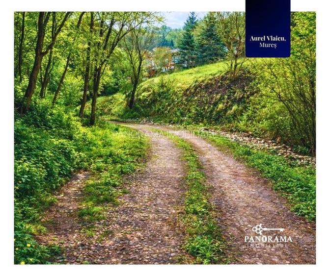 Teren 5.144 mp în Aurel Vlaicu, Sighișoara –excelent pt investiții - 9