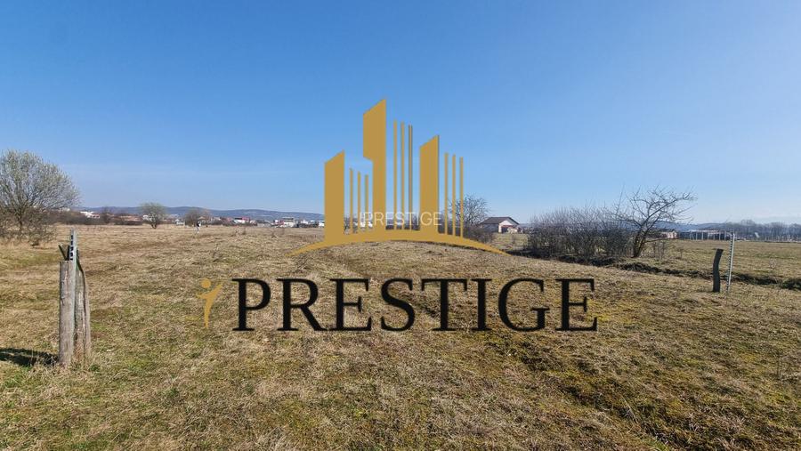 TEREN DE VÂNZARE 1000 MP ȘELIMBĂR ZONA TROIȚĂ | INVESTIȚIE - 9