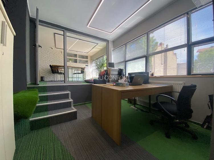 Cismigiu-Mircea Vulcanescu - 5