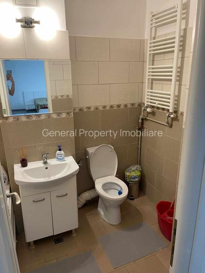 Garsoniera deosebita Calea Calarasilor - 3