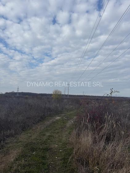 Targoviste - Teren 10ha - Posibilitate investitii - Parcelare - 3