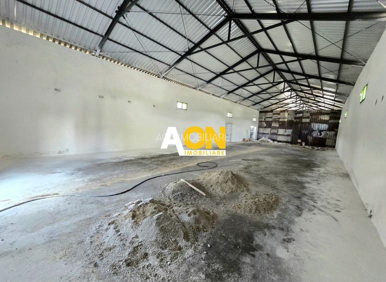 Spațiu Industrial de Închiriat, 280mp, Zona Carolina Mall - 2
