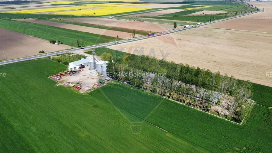 Ferma porcine la cheie - 7