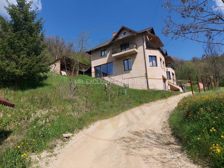 Casa 6 camere langa padure/ 340 mp/ teren de 3 745 mp la 5 min de Pitesti - 11